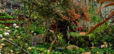 Embrace the Magic of the Garden HLSE: A Visual Delight
